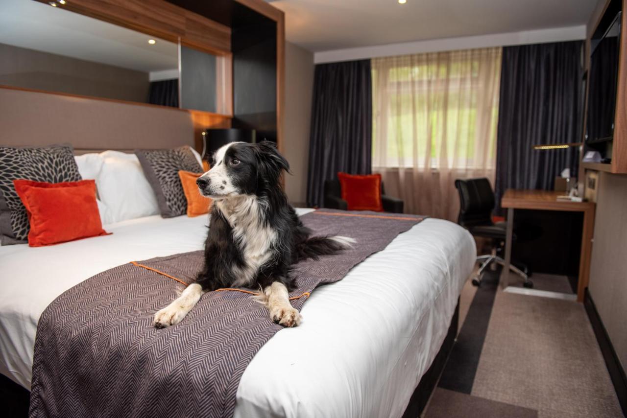 Crowne Plaza Gerrards Cross By Ihg Hotel Beaconsfield Eksteriør billede