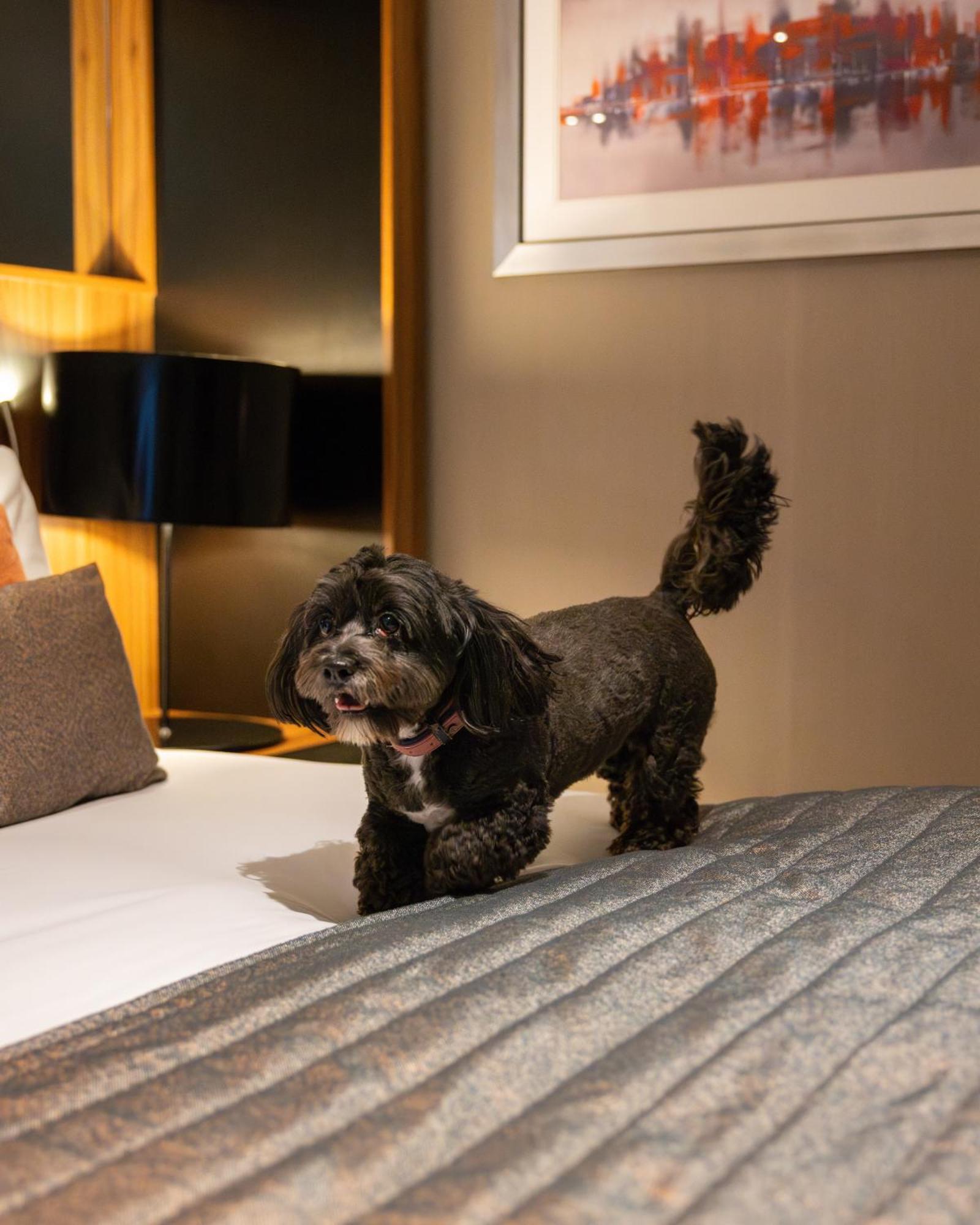 Crowne Plaza Gerrards Cross By Ihg Hotel Beaconsfield Eksteriør billede